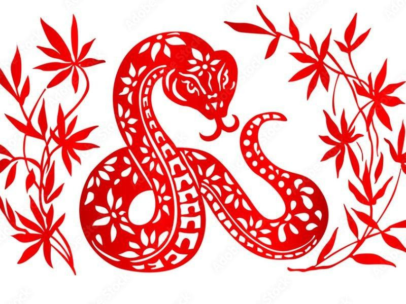 Tóm lại, tháng 7 hứa hẹn sẽ mang lại nhiều cơ hội và thành công cho người tuổi Tị. Sự thông minh, sáng tạo và năng động của họ sẽ là chìa khóa giúp họ mở ra những cơ hội mới, đạt được nhiều thành tựu trong sự nghiệp và cuộc sống cá nhân. *Thông tin chỉ mang tính tham khảo, chiêm nghiệm