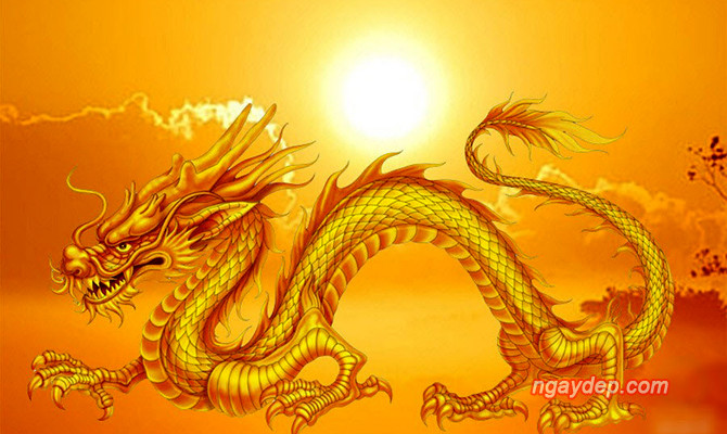  Tóm lại, tháng 7 hứa hẹn sẽ mang lại nhiều niềm vui và thành tựu cho người tuổi Thìn.