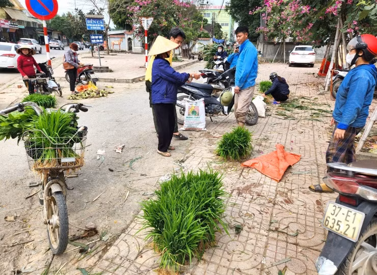  Chợ bán mạ non (lúa non) nằm ở khu vực chợ Cồn (xã Thanh Dương, huyện Thanh Chương, Nghệ An). Nói là chợ nhưng thực tế đây chỉ là khu vực một nhóm người mua bán mạ non tự tổ chức ngay cạnh vỉa hè quốc lộ 46.