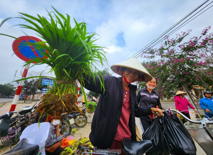 Nhiều người dân vui mừng khi đến chợ mua được những bó mạ về dặm thêm cho ruộng của gia đình. Bởi nếu không mua được, ruộng của gia đình sẽ thất thu trong vụ mùa mới.
