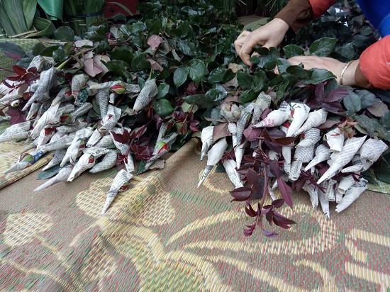 Cẩn thận với hoa hồng "bẩn": Hoa hồng là loại hoa đẹp nhưng khi trồng phải bón nhiều phân nhất là phân gà nên chúng hấp thu nhiều khí xấu do đó nhiều người cũng kiêng thắp hương. Hoa hồng cũng được phun và bón nhiều phân nên khi mua bạn sẽ thấy lá hoa hồng hay bị dính phân lân, bụi.