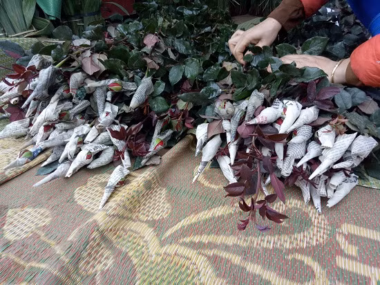 Cẩn thận với hoa hồng "bẩn": Hoa hồng là loại hoa đẹp nhưng khi trồng phải bón nhiều phân nhất là phân gà nên chúng hấp thu nhiều khí xấu do đó nhiều người cũng kiêng thắp hương. Hoa hồng cũng được phun và bón nhiều phân nên khi mua bạn sẽ thấy lá hoa hồng hay bị dính phân lân, bụi.