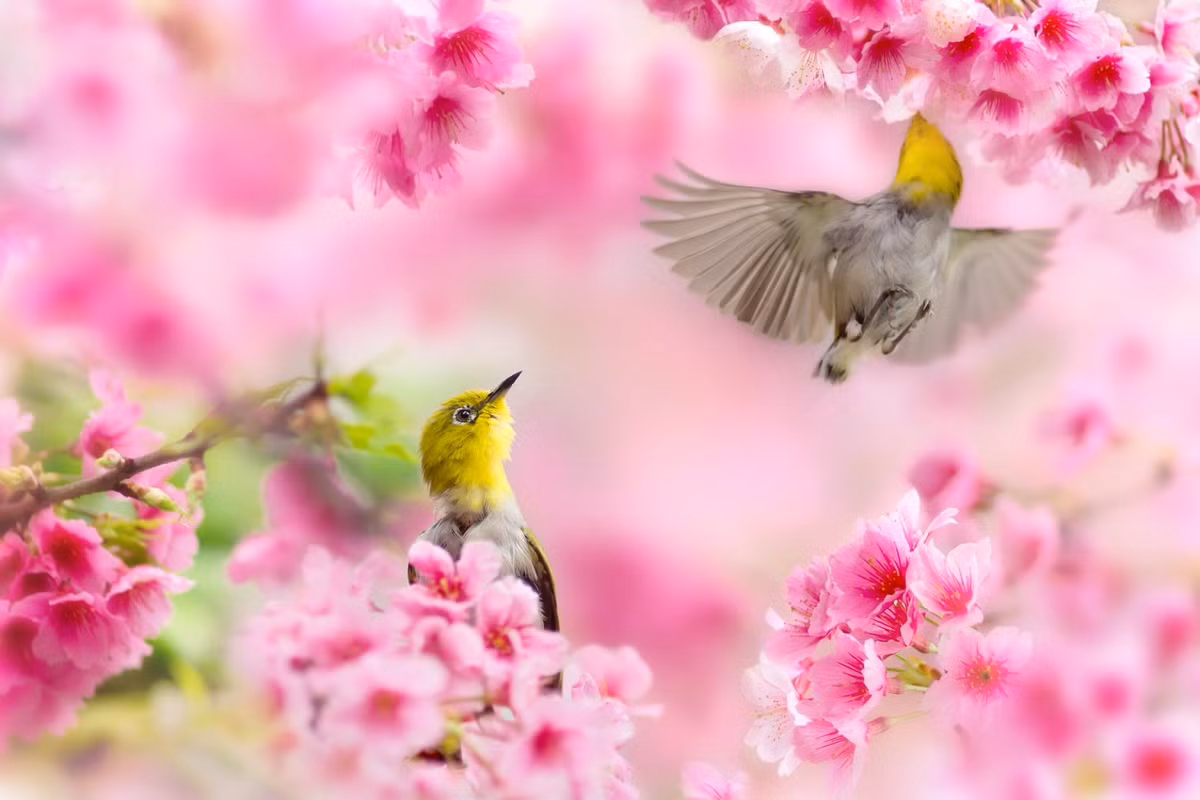 Nam Giap Thin 2024, 3 con giap xoay chuyen van menh, tien cua day nha-Hinh-2