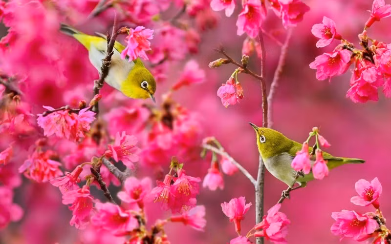 Nam Giap Thin 2024, 3 con giap xoay chuyen van menh, tien cua day nha