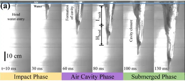 Chim dien co the lao thang xuong duoi nuoc voi toc do 86km/h-Hinh-6