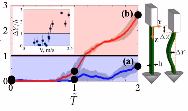 Chim dien co the lao thang xuong duoi nuoc voi toc do 86km/h-Hinh-8