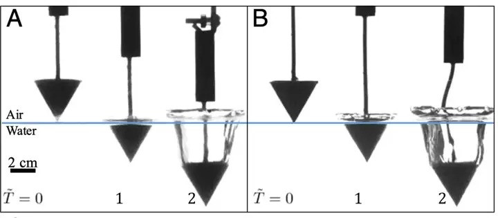 Chim dien co the lao thang xuong duoi nuoc voi toc do 86km/h-Hinh-7