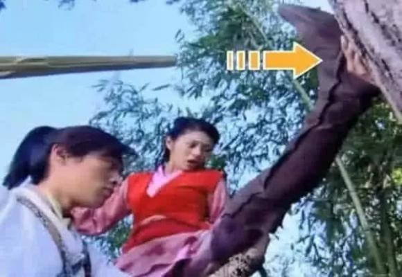 Có bao nhiêu người còn nhớ những giai điệu nhạc phim quen thuộc trong phim "Tiên Kiếm Kỳ Hiệp Truyện" hay khuôn mặt xinh xắn và câu nói "Tiêu Dao Ca Ca"? Thế nhưng, những bộ phim kinh điển đẹp đẽ năm nào cũng không thoát được những con mắt soi của cư dân mạng. Mọi người có để ý thấy bàn tay chống trên thân cây kia không? Đây là hình ảnh Hồ Ca và An Dĩ Hiên trêu đùa nhau, chân đạp lên thân cây, thế nhưng bàn tay này lại là của ai vậy?