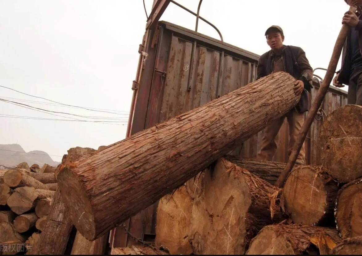 “Go Hoang de” dat hon vang, nhieu nguoi khong biet dung lam cui
