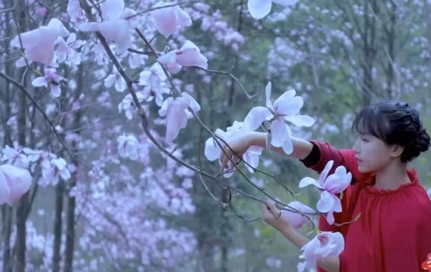 Dong thai moi nhat cua Ly Tu That sau 3 nam o an-Hinh-5