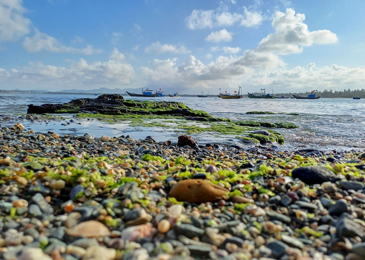 Kham pha danh thang dia chat doc nhat vo nhi o Quang Nam-Hinh-6