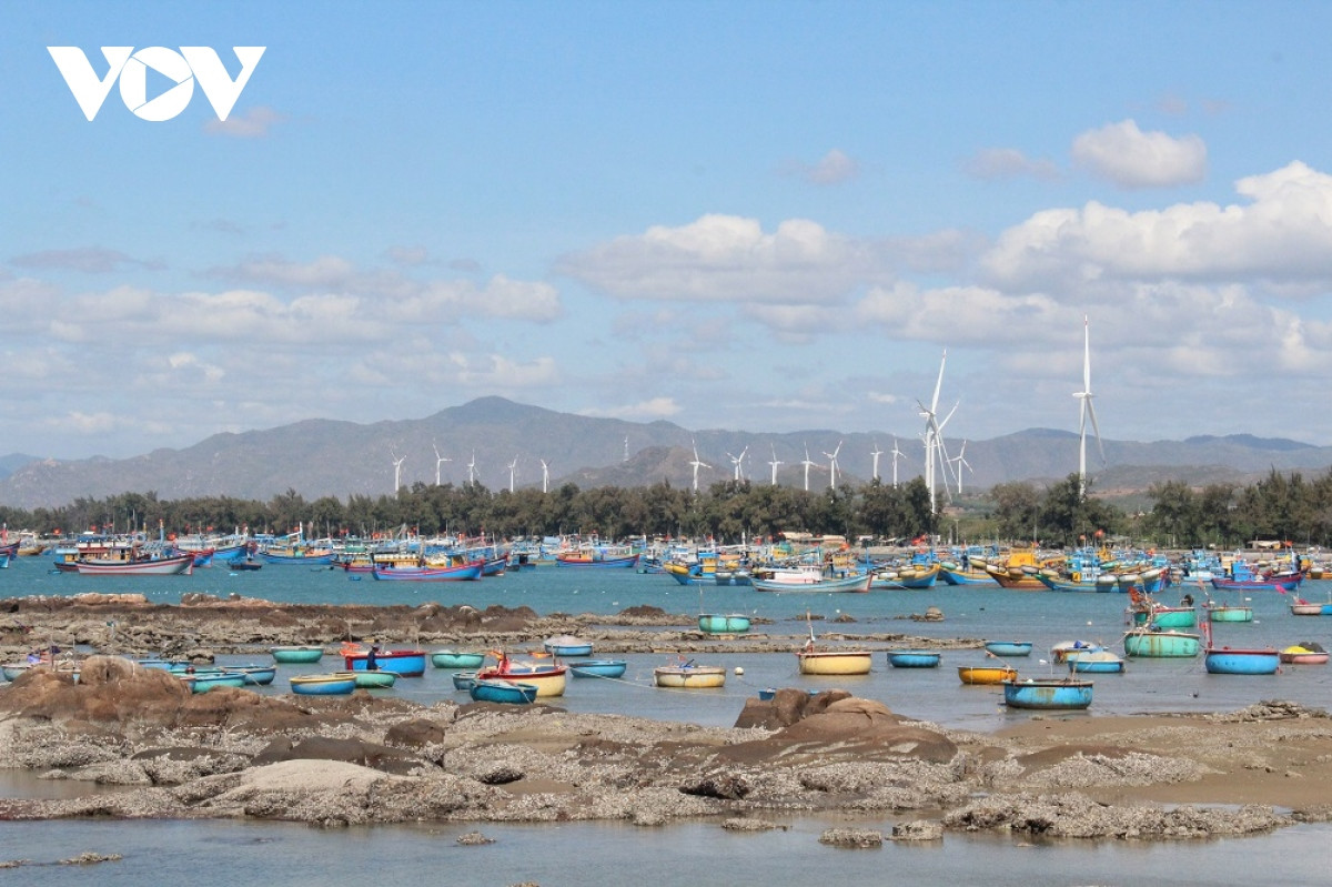 Khu du lich Co Thach - Binh Thanh diem den hap dan cua Binh Thuan-Hinh-2