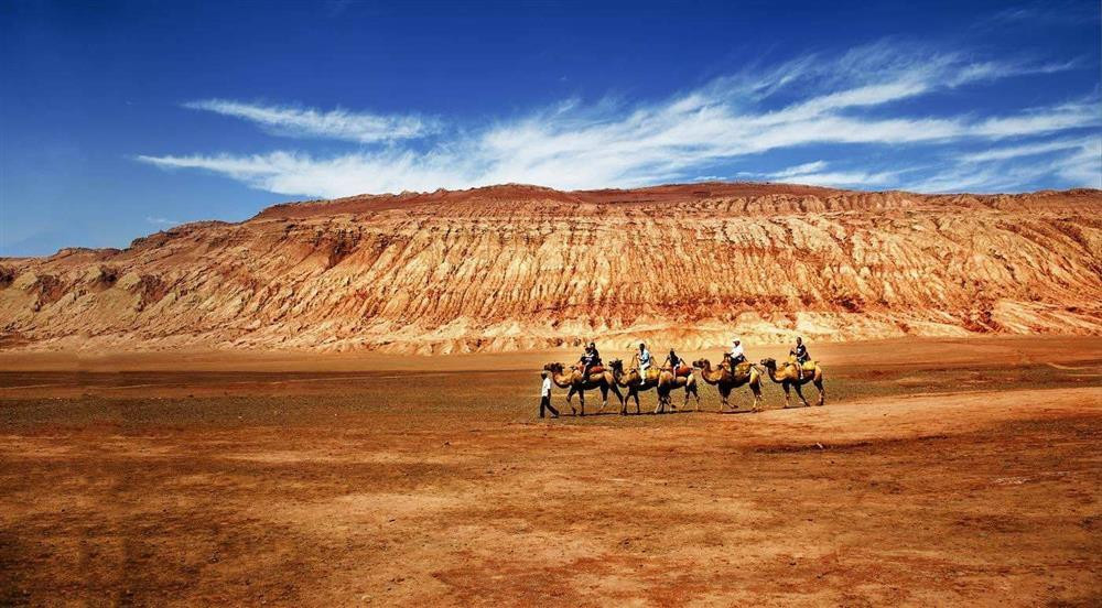 Hoa Diem Son ngoai doi thuc nong toi 81 do C-Hinh-3