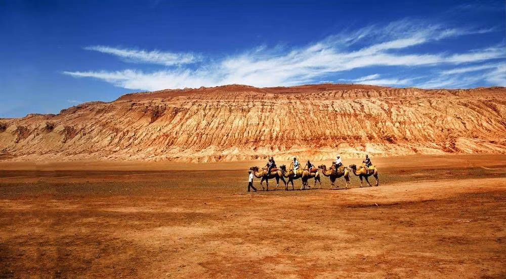 Hoa Diem Son ngoai doi thuc nong toi 81 do C-Hinh-3