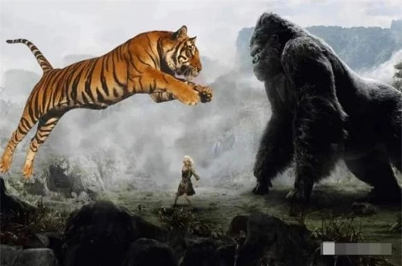 Tai sao ho va su tu khong an thit khi dot?-Hinh-2