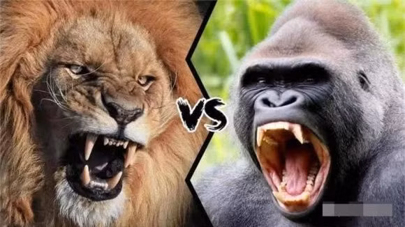 Tai sao ho va su tu khong an thit khi dot?