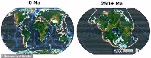 Du bao lanh nguoi ve 