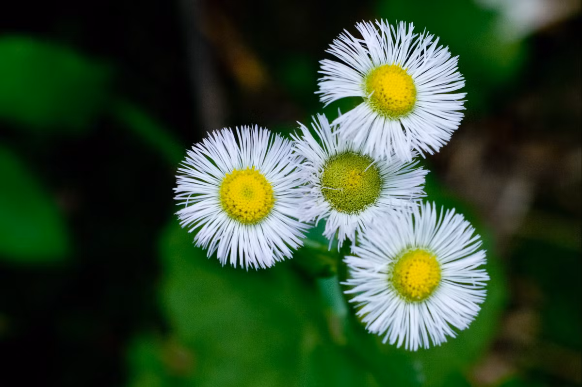 Nam 2024, ai sinh thang Am lich nay duoc Than Tai phu ho-Hinh-3