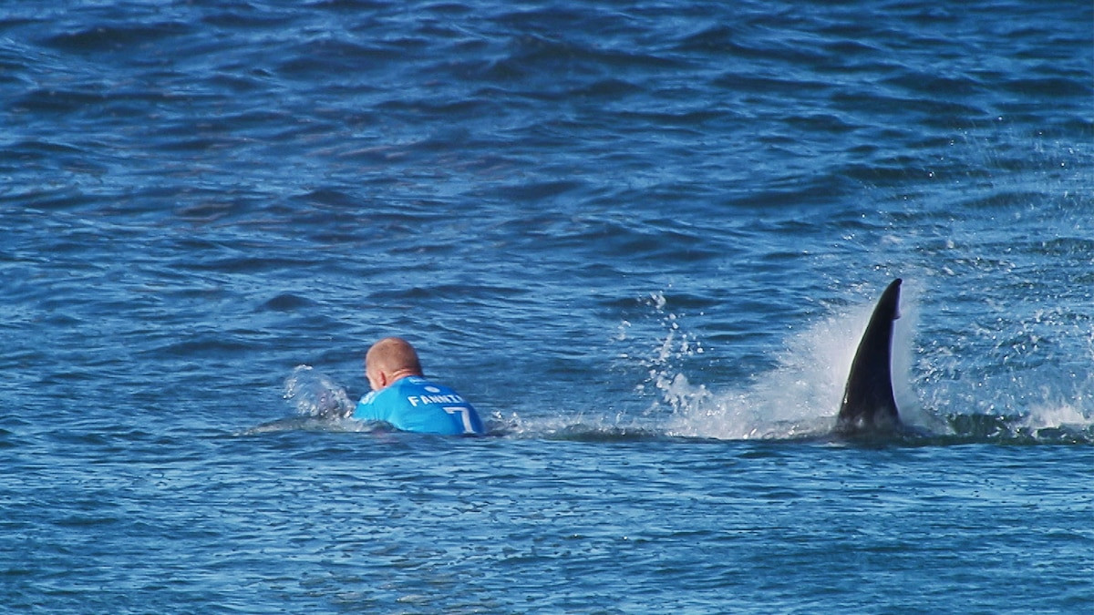Thứ mà Không quân sợ nhất trong thế kỷ trước là cá mập, tại sao? Thu ma Khong quan so nhat trong the ky truoc la ca map, tai sao?