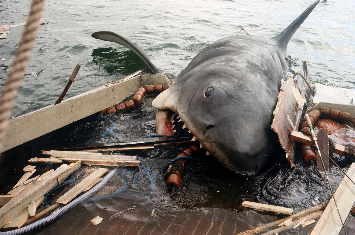 Thứ mà Không quân sợ nhất trong thế kỷ trước là cá mập, tại sao? - Hình 2 Thu ma Khong quan so nhat trong the ky truoc la ca map, tai sao?-Hinh-2
