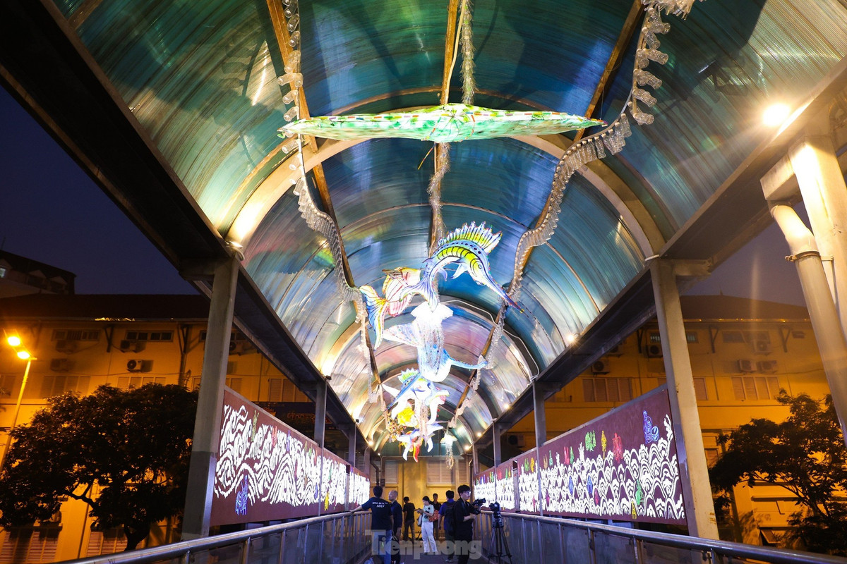 Các loài cá đại dương được hấp thu ánh sáng bởi hệ thống đèn hắt dọc 2 bên vòm cầu cũng như hệ thống ánh sáng đèn led bên trong. Chất liệu chủ yếu được tận dụng từ chai nhựa tái chế do học sinh các trường tiểu học trên địa bàn quận tham gia thu gom tạo nên tác phẩm.