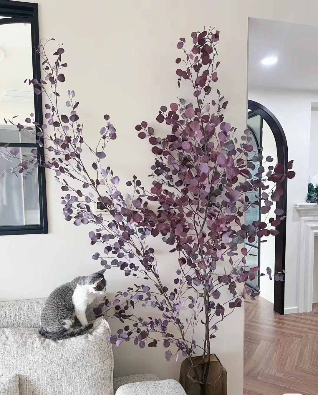  Trong phong thủy, cây cảnh "đô la bạc" có ý nghĩa mang lại may mắn và tiền tài đến cho gia chủ. Ngoài cái tên thì những lá cây giống đồng tiền xu đều gợi đến tiền tài, là cây cảnh phong thủy được yêu thích.