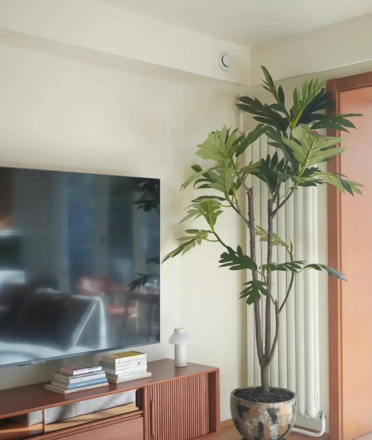  Cây sa kê là cây cảnh rất phổ biến trong hai năm trở lại đây và được mọi người yêu thích. Những chiếc lá ngoại cỡ mang lại cảm giác điêu khắc rất mạnh mẽ khi đặt trong nhà. Những chiếc lá to cũng có ý nghĩa thu hút tài lộc trong phong thủy.