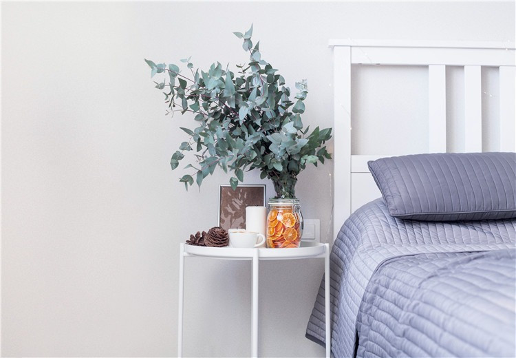  Ngôn ngữ hoa bạch đàn là một món quà. Cây cảnh này có mùi thơm đặc biệt, có tác dụng thanh lọc không khí, điều hòa hệ hô hấp và hỗ trợ giấc ngủ. Lá bạch đàn có tác dụng làm mát không khí và hỗ trợ giấc ngủ. Bầu không khí trong lành của bạch đàn có thể được sử dụng để duy trì hệ thống hô hấp và miễn dịch. 