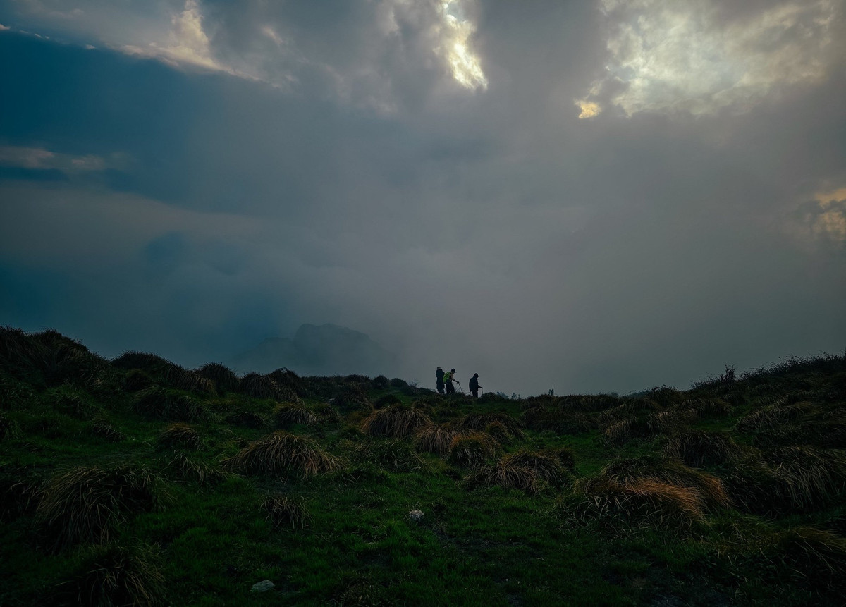 Me man tham thuc vat tren duong trekking dinh Lung Cung-Hinh-3