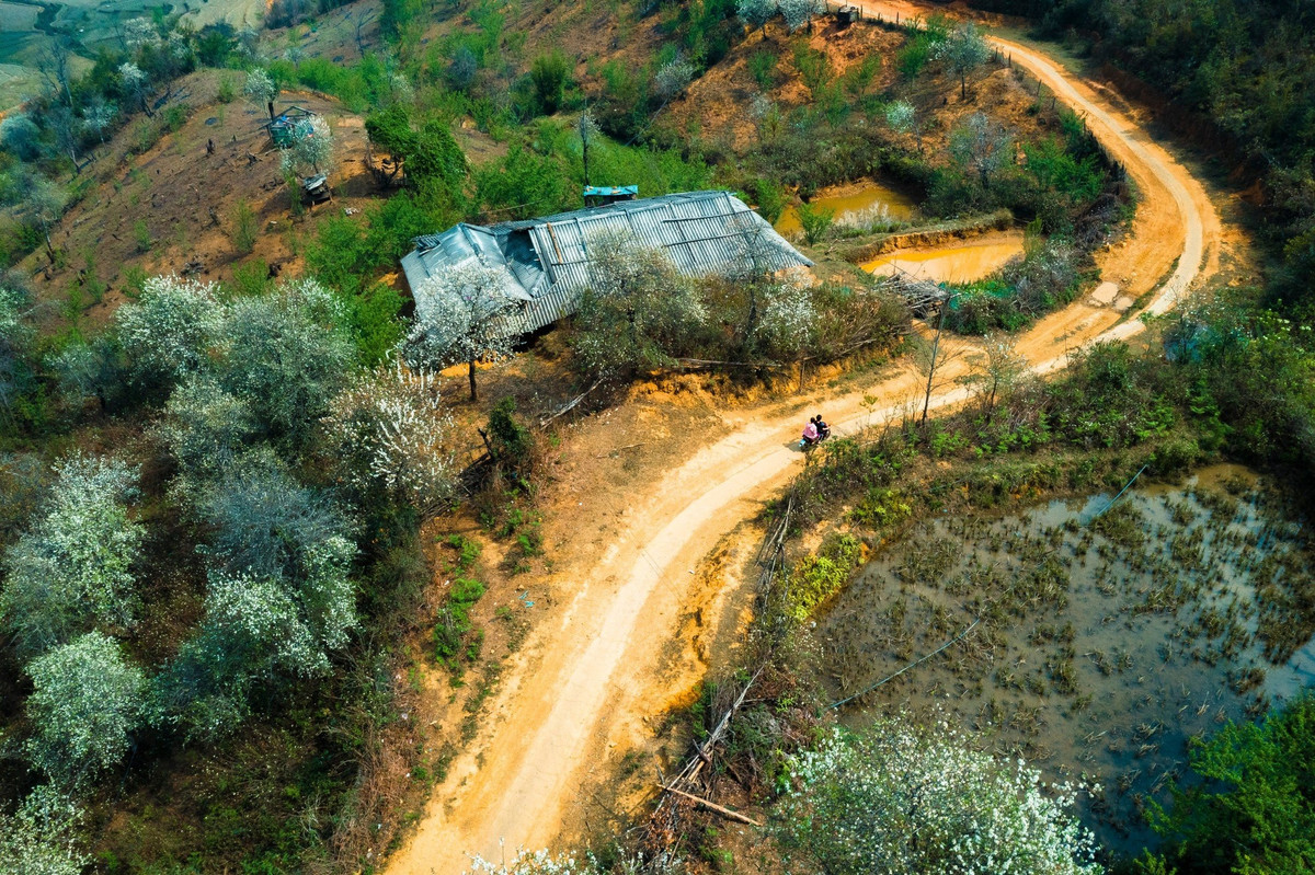 Me man tham thuc vat tren duong trekking dinh Lung Cung-Hinh-2