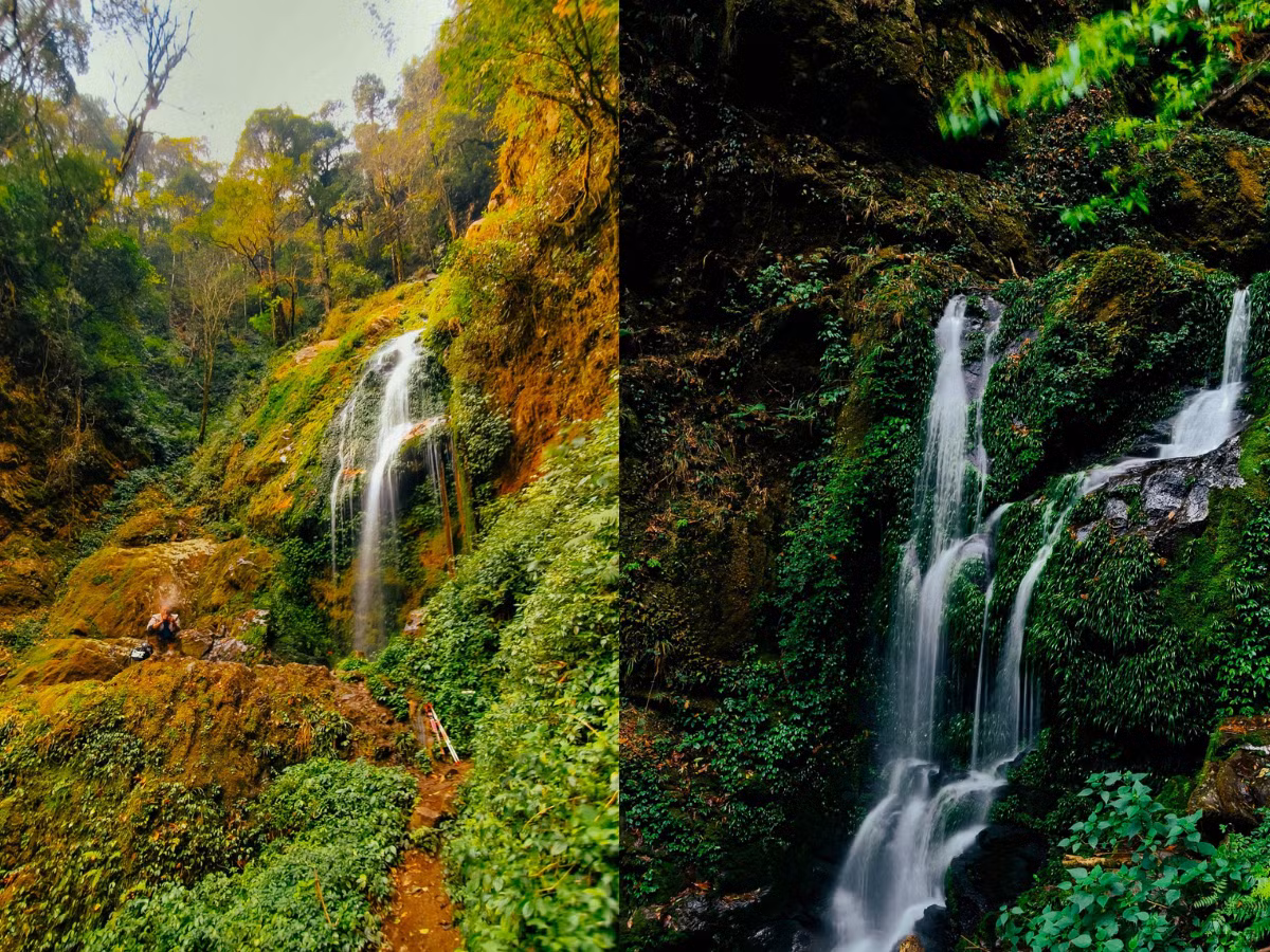 Me man tham thuc vat tren duong trekking dinh Lung Cung-Hinh-11