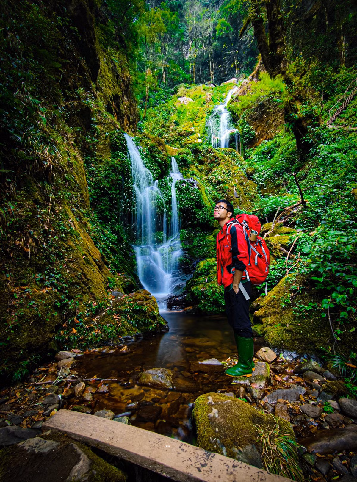 Me man tham thuc vat tren duong trekking dinh Lung Cung-Hinh-4