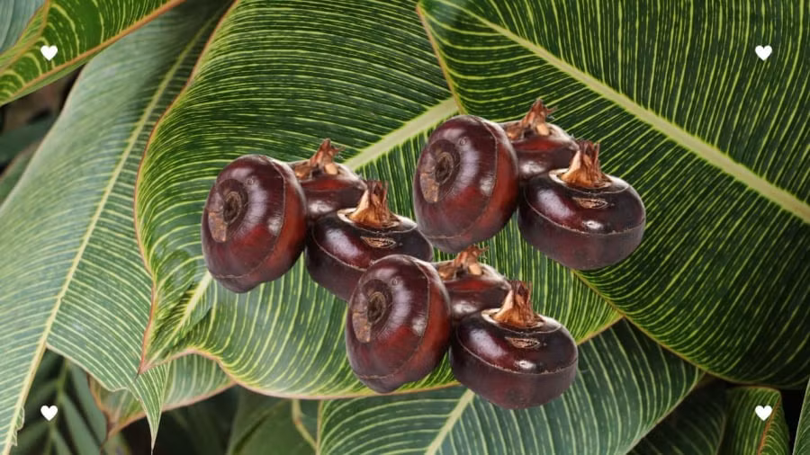 8 loai rau cu day ky sinh trung can che bien can than