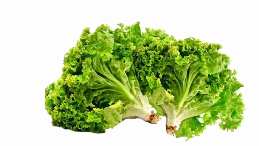 8 loai rau cu day ky sinh trung can che bien can than-Hinh-2