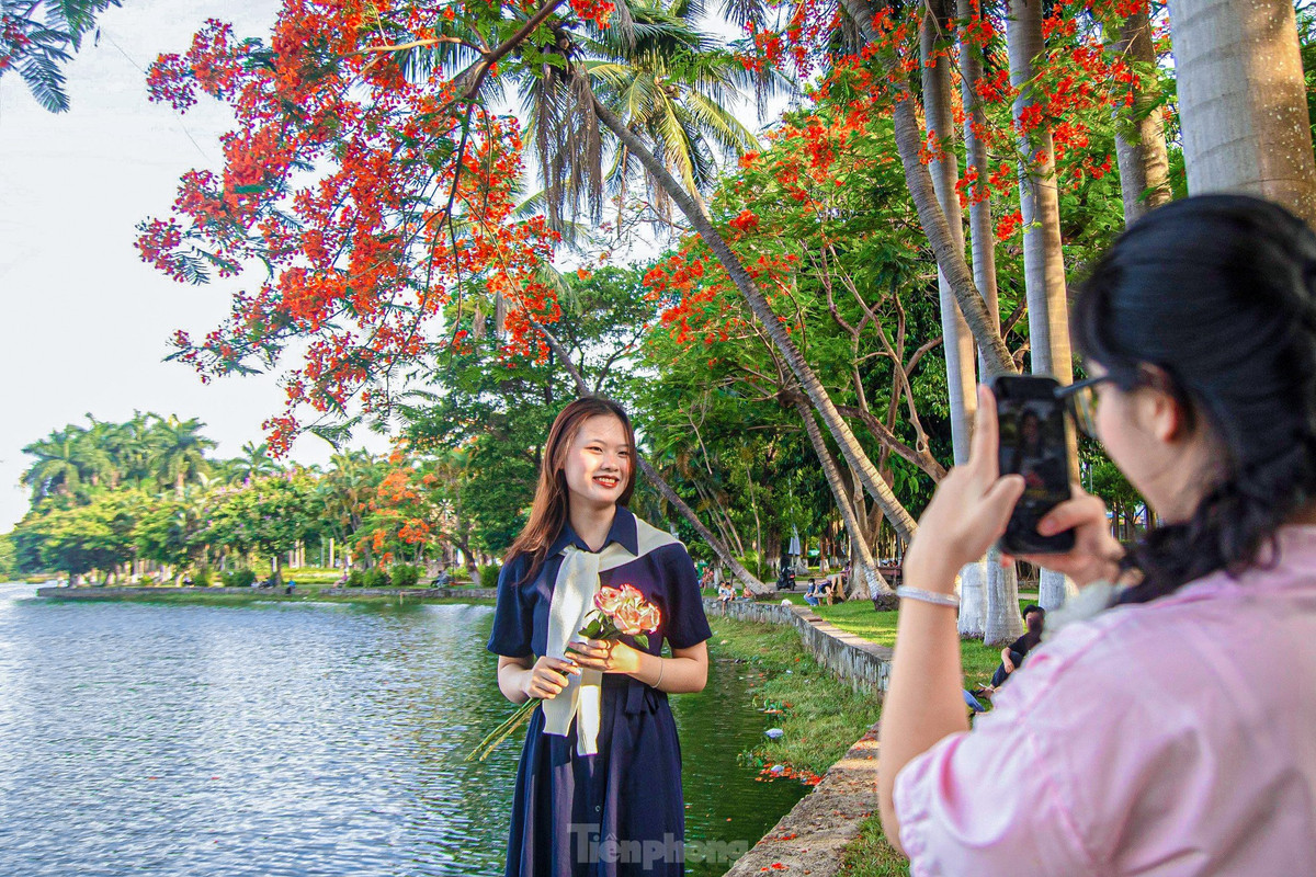 Bạn Đàm Thị Thanh Hải (trú quận Liên Chiểu) cùng nhóm bạn đến vui chơi, thư giãn dưới những gốc phượng tỏa bóng mát giữa nắng nóng mùa hè. “Thời tiết oi bức thế này thì việc lựa chọn những công viên mát mẻ, xung quanh hoa phượng nở rộ đẹp mắt để đọc sách, ngắm cảnh rất thú vị. Ở đây khung cảnh thơ mộng nên em với bạn cũng tranh thủ chụp những bức hình cùng hoa phượng để lưu giữ kỷ niệm của tuổi học trò”, bạn Hải chia sẻ.