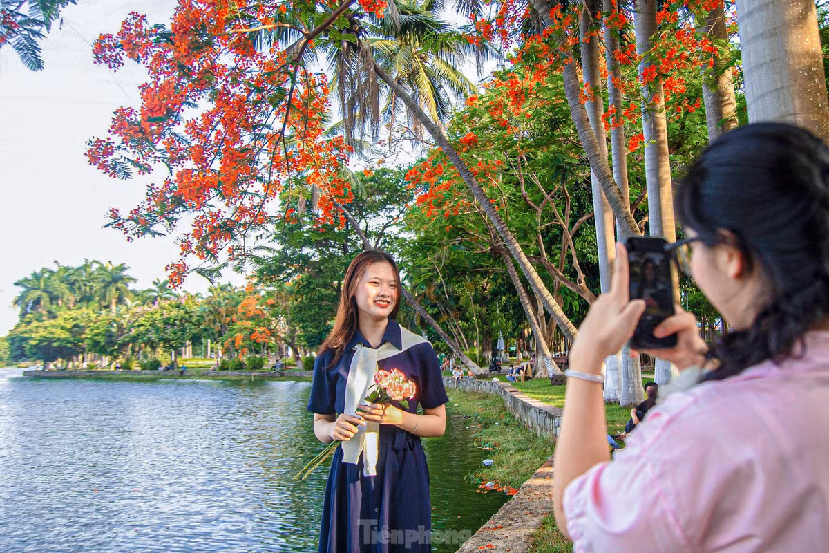 Bạn Đàm Thị Thanh Hải (trú quận Liên Chiểu) cùng nhóm bạn đến vui chơi, thư giãn dưới những gốc phượng tỏa bóng mát giữa nắng nóng mùa hè. “Thời tiết oi bức thế này thì việc lựa chọn những công viên mát mẻ, xung quanh hoa phượng nở rộ đẹp mắt để đọc sách, ngắm cảnh rất thú vị. Ở đây khung cảnh thơ mộng nên em với bạn cũng tranh thủ chụp những bức hình cùng hoa phượng để lưu giữ kỷ niệm của tuổi học trò”, bạn Hải chia sẻ.