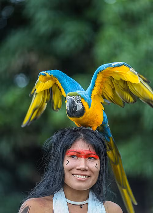 Bo anh hut mat ve bo lac tho dan tai rung mua nhiet doi Amazon-Hinh-4