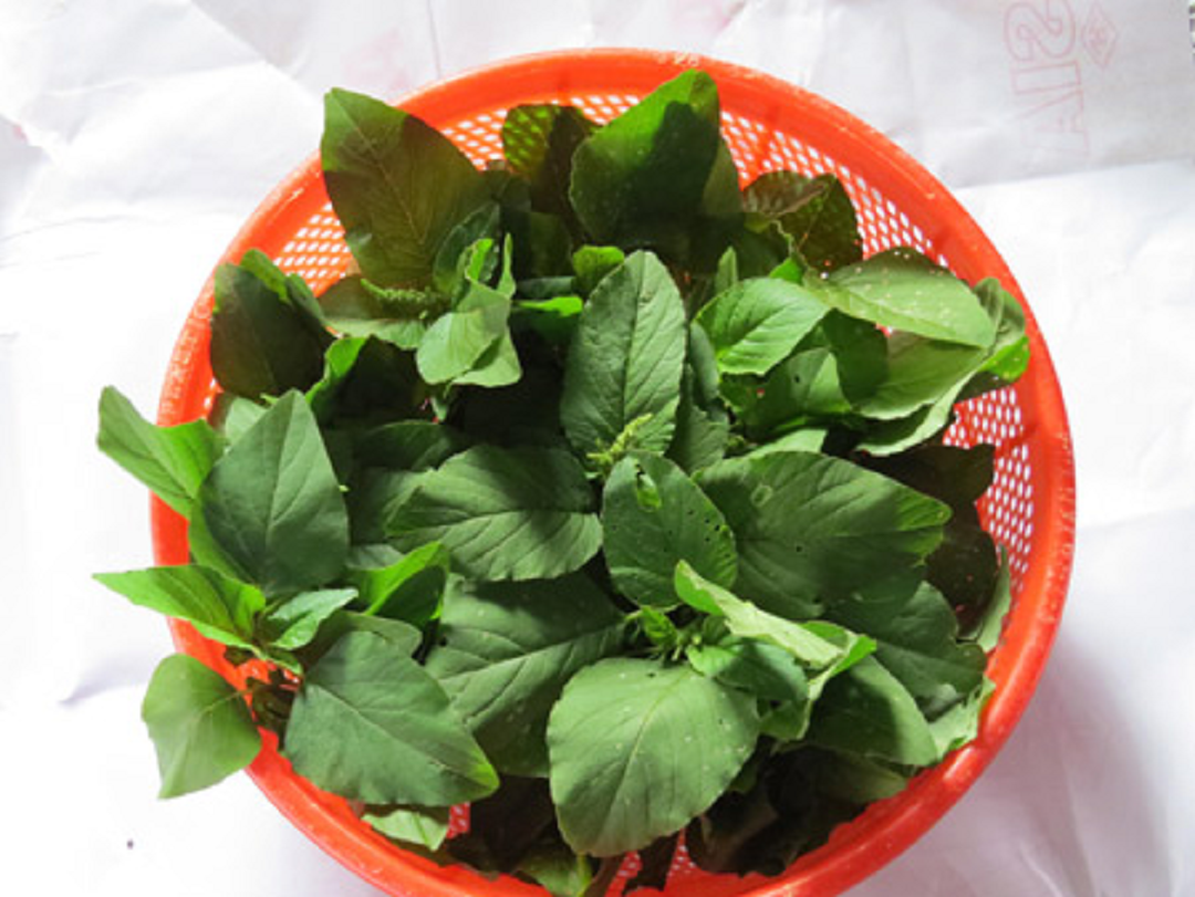 2 loại rau ít "ngậm" thuốc trừ sâu nhất chợ ảnh 2 2 loại rau ít "ngậm" thuốc trừ sâu nhất chợ ảnh 2