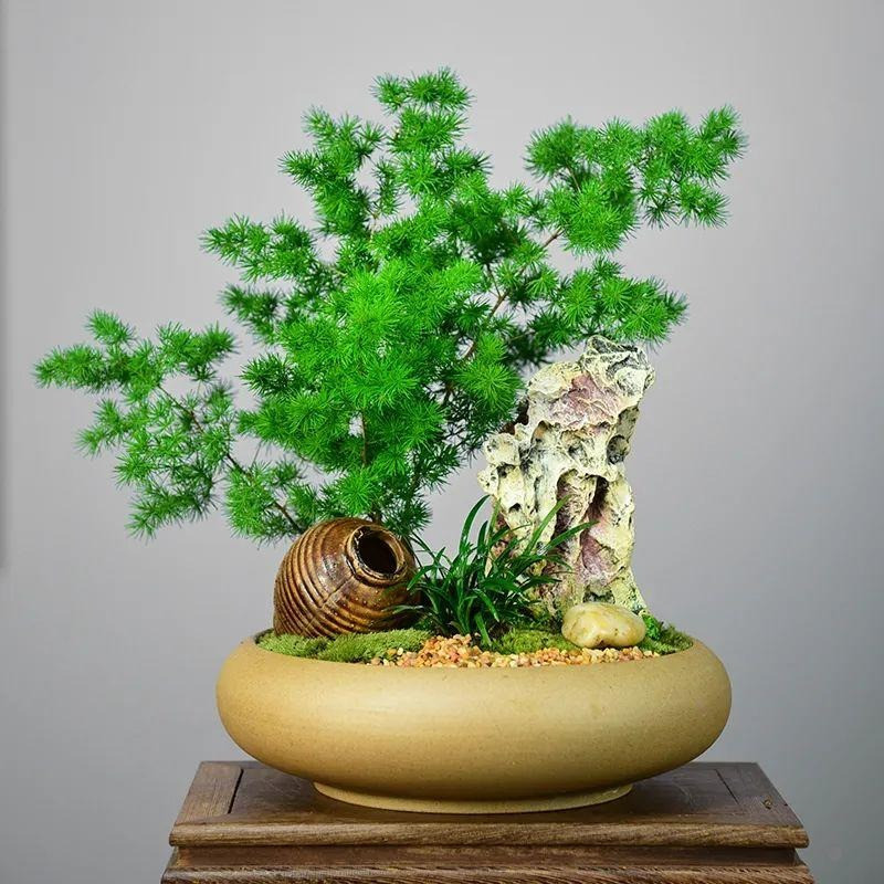 Người xưa nói: "Nhà có ngũ phúc, càng sống lâu càng thoải mái" - Hình 8 Nguoi xua noi: