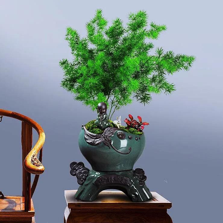 Người xưa nói: "Nhà có ngũ phúc, càng sống lâu càng thoải mái" - Hình 7 Nguoi xua noi: