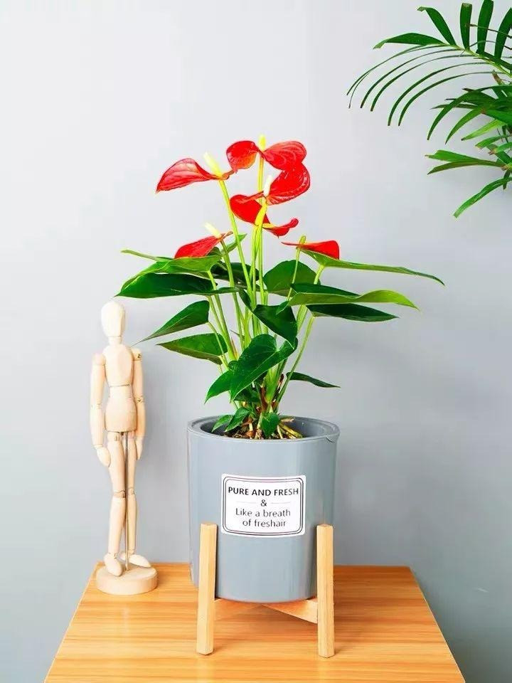 Người xưa nói: "Nhà có ngũ phúc, càng sống lâu càng thoải mái" - Hình 11 Nguoi xua noi: