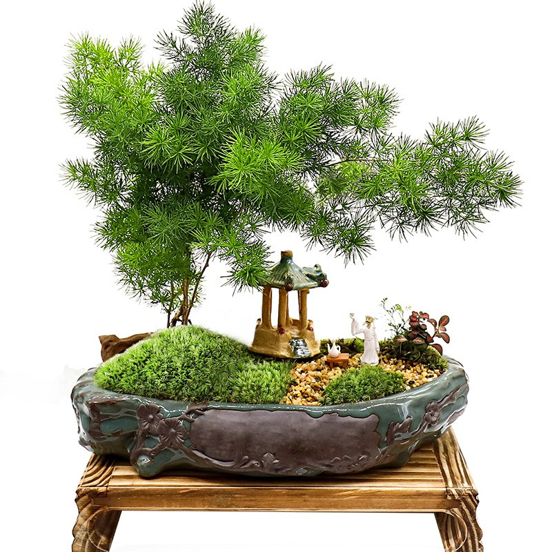 Người xưa nói: "Nhà có ngũ phúc, càng sống lâu càng thoải mái" - Hình 9 Nguoi xua noi: