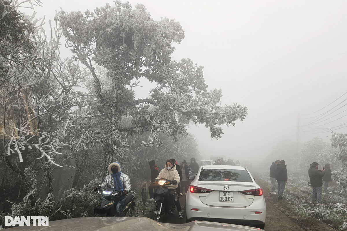 Càng về trưa nay, lượng du khách kéo lên đỉnh Mẫu Sơn chiêm ngưỡng hiện tượng băng giá càng đông. Đường lên Mẫu Sơn ùn tắc (Ảnh: Anh Tuấn).