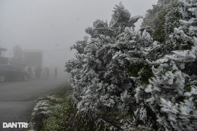 Anh Trần Sơn Hải (trú tại xã Mẫu Sơn, huyện Lộc Bình, tỉnh Lạng Sơn) chia sẻ từ chiều qua trên đỉnh Mẫu Sơn cây cối bắt đầu có hiện tượng đóng băng và đến sáng nay băng giá đã phủ trắng mái nhà, tường rào, cây cối.