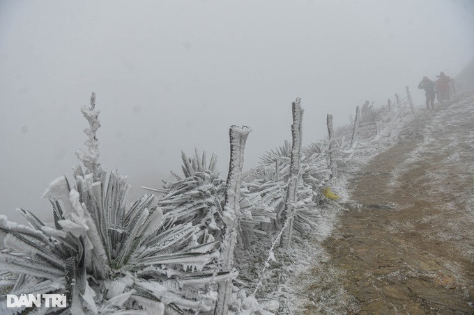 Anh Thái Hoàng Minh (39 tuổi, trú phường Yên Hòa, quận Cầu Giấy, Hà Nội) cho biết khoảng 19h tối 22/1, qua mạng xã hội anh thấy đỉnh Mẫu Sơn có băng giá nên rủ thêm 2 người bạn lên Lạng Sơn ngay trong đêm. "2h sáng nay nhóm tôi lên đến đỉnh Mẫu Sơn. Mặc dù đã mặc quần áo khoác dày, đội mũ len, găng tay, áo giữ nhiệt… để giữ ấm cơ thể nhưng vẫn lạnh thấu xương. Sáng nay, khi nhìn thấy băng phủ trắng cây cối, mái nhà, mọi người đều rất vui", anh Minh chia sẻ.