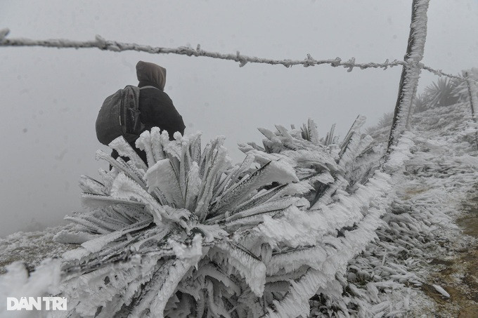 Ông Hoàng Quốc Huy, Trạm trưởng Trạm Khí tượng Mẫu Sơn (Lạng Sơn), cho biết hiện tượng băng giá trên đỉnh Mẫu Sơn sẽ còn kéo dài trong vài ngày tới.