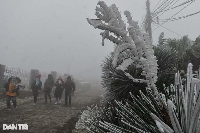 Ghi nhận của phóng viên Dân trí trong sáng và trưa 23/1, băng giá phủ dày trắng xóa đỉnh Mẫu Sơn, lượng du khách đổ về đây mỗi lúc một nhiều.