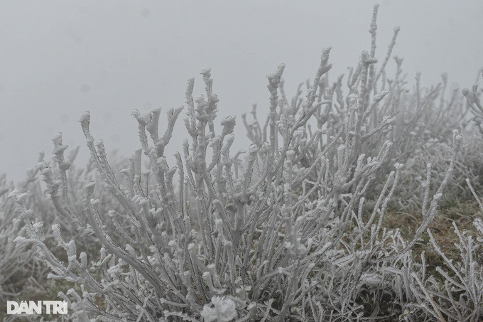 Theo Trung tâm Dự báo khí tượng thủy văn quốc gia, lúc 6h sáng nay 23/1, nhiệt độ quan trắc được tại Mẫu Sơn (Lạng Sơn) đã xuống mức -0,9 độ C. Đây là nhiệt độ thấp nhất trong các trạm đo khí tượng ở miền Bắc.