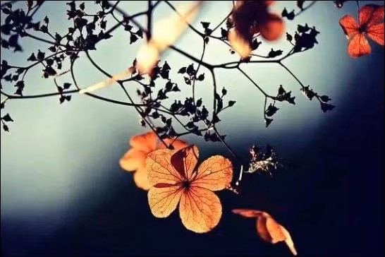 4 dau hieu cho thay gia dinh dang co phuc lon-Hinh-2