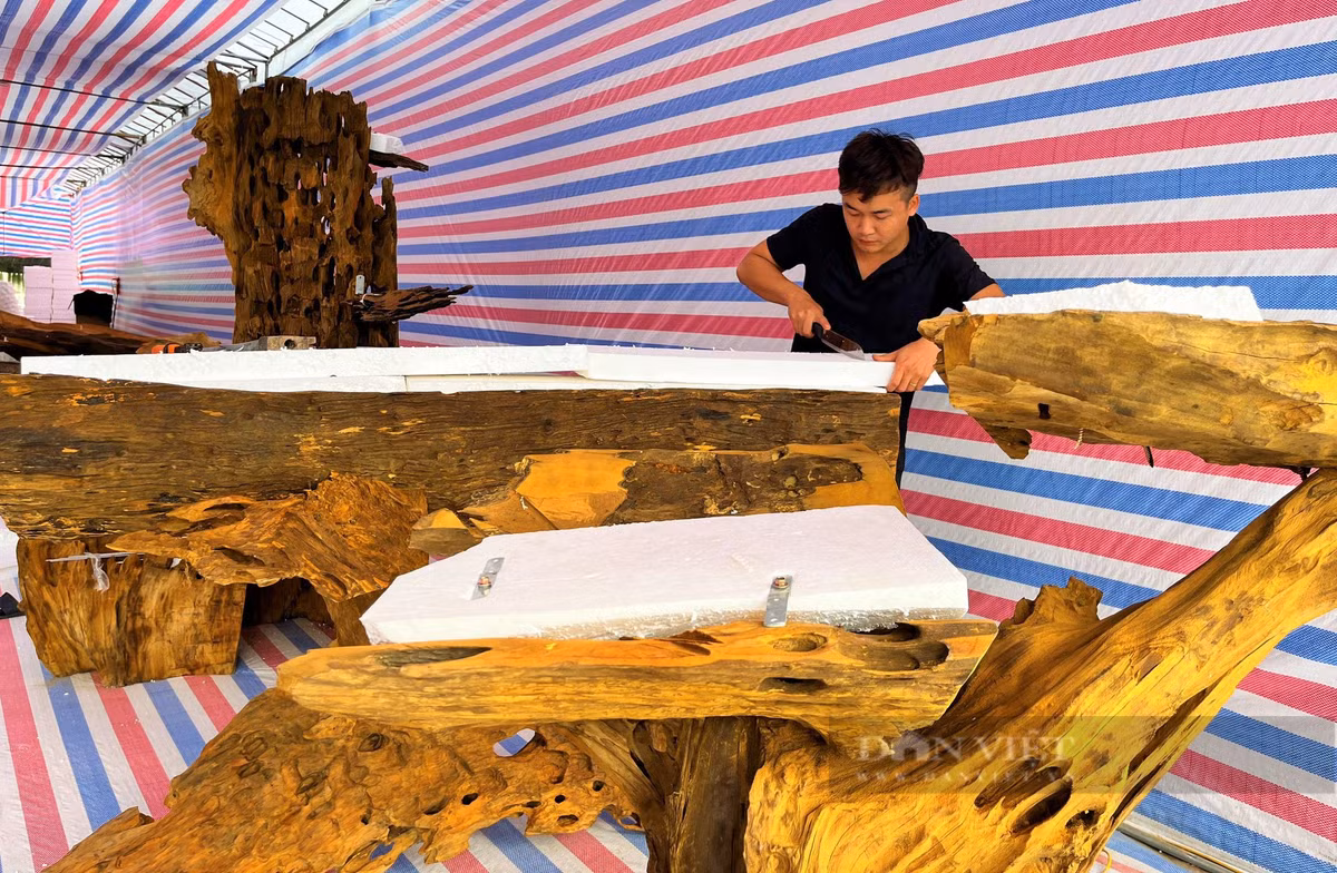 Lan ho diep Da Lat ket go lua ban o Nghe An-Hinh-3